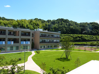 ハビリ画像